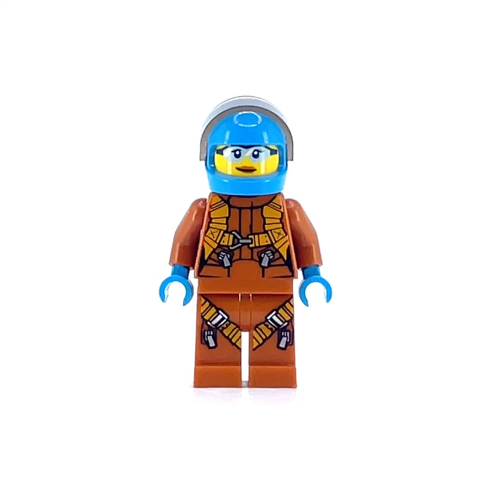 Arctic Plane Pilot