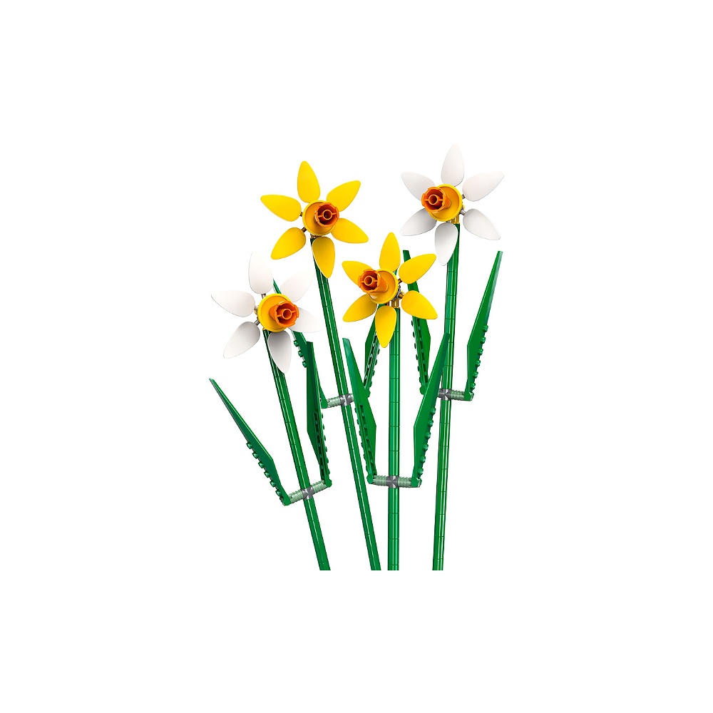 Daffodils