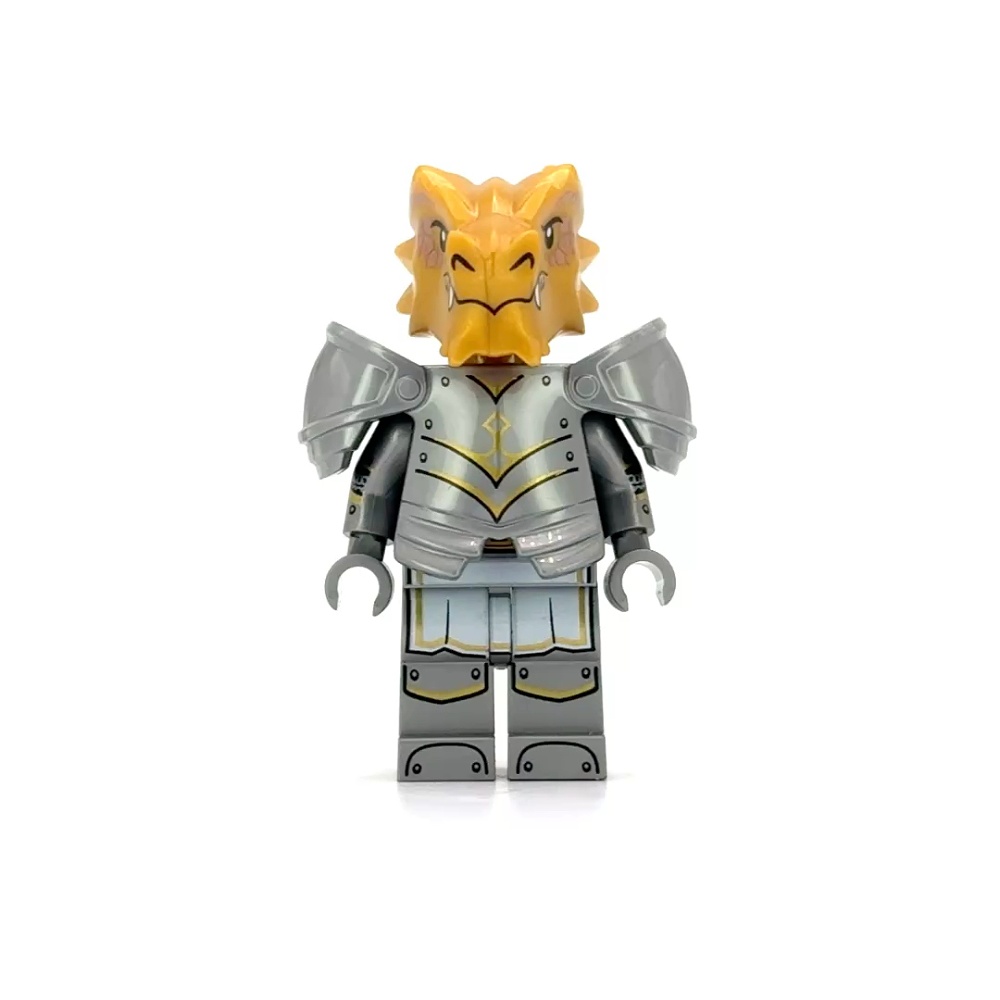 Dragonborn Paladin