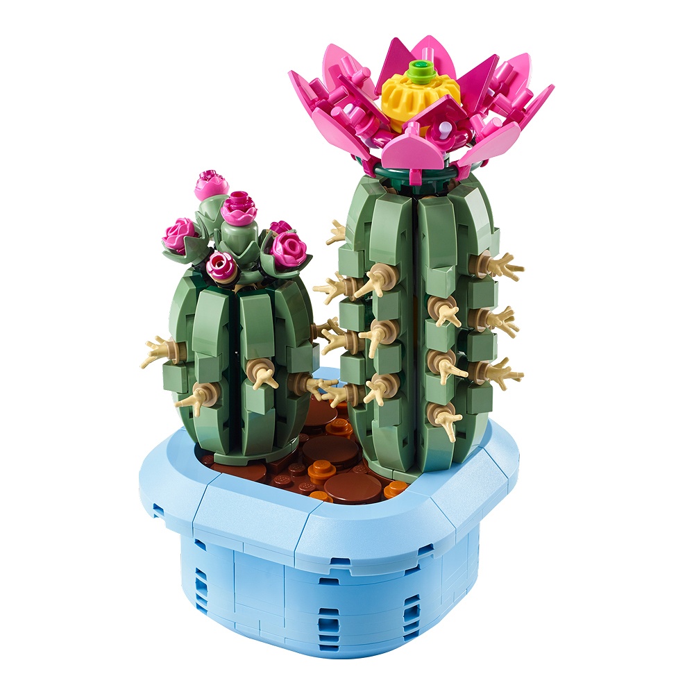 Flowering Cactus